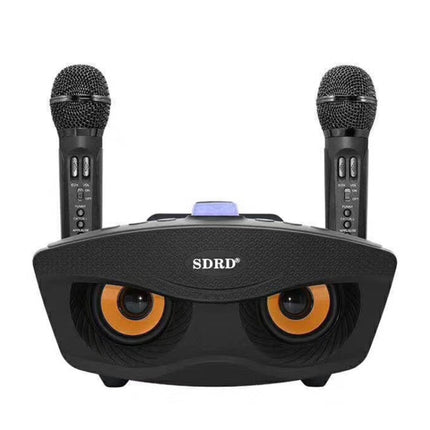 SD-306 2 in 1 Family KTV Portable Wireless Live Dual Microphone + Bluetooth Speaker(Black)
