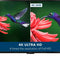 TV & Video