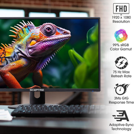 Sceptre 24-inch Professional Thin 1080p LED Monitor 99% sRGB 2x HDMI VGA Build-in Speakers, Machine Black (E248W19203R Series)