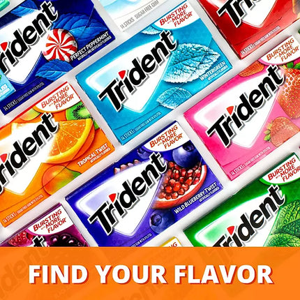 Trident Fruit Variety Pack Sugar Free Gum