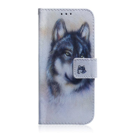 For Tecno Spark Go 2022 / Spark 8C Coloured Drawing Leather Phone Case(White Wolf)
