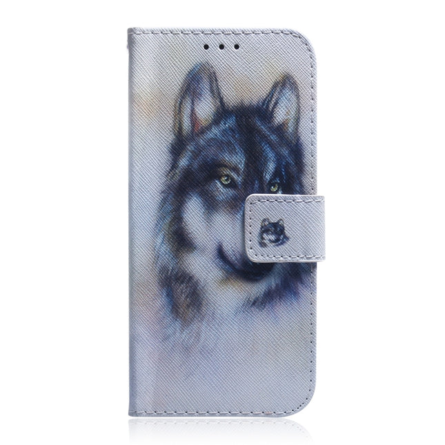 For Tecno Spark Go 2022 / Spark 8C Coloured Drawing Leather Phone Case(White Wolf)