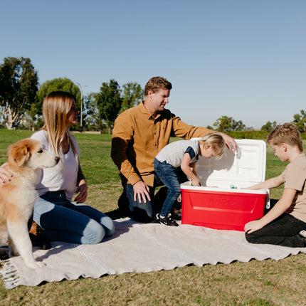 Igloo 48 QT Laguna Ice Chest Cooler, Red