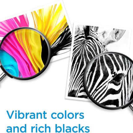 HP 67XL Black High-yield Ink Cartridge | Works with HP DeskJet 1255, 2700, 4100 Series, HP ENVY 6000, 6400 Series | Eligible for Instant Ink | 3YM57AN