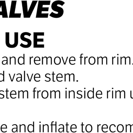 Slime 20161 Tire Valves Tubeless 1.25'', TR 415, Pack of 2