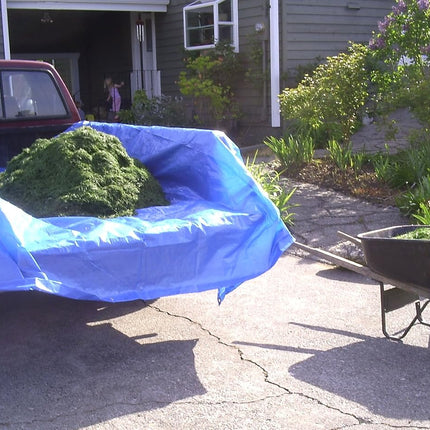 Everbilt 16 ft. x 20 ft. Blue Medium Duty Tarp