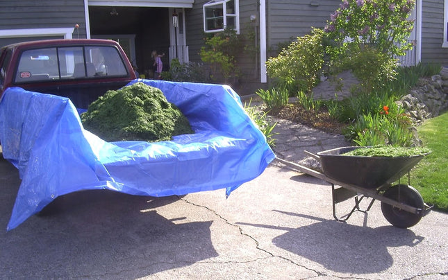 Everbilt 16 ft. x 20 ft. Blue Medium Duty Tarp