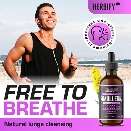 HERBIFY Mullein Drops - Lung Cleanse - Leaf Extract - Powerful Mullein for Immune Support,Detox & Respiratory Support