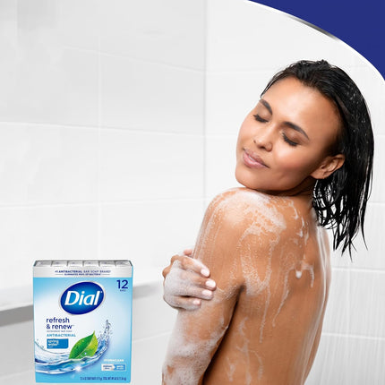 Dial Antibacterial Bar Soap, Spring Water