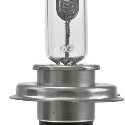 HELLA H4 24V HD Heavy Duty Bulb, 75/70W
