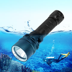 Collection image for: Diving Flashlight