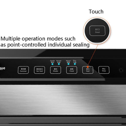 Ronegye Household Automatic Vacuum Packaging Machine Food Vacuum Machinery Small Vacuum Sealing Machine, CN Plug(Black)