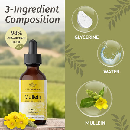 HERBAMAMA Mullein Drops for Lungs - Vegan Mullein Leaf Extract for Lung Detox and Cleanse Support - Non-GMO, Alcohol & Sugar-Free Respiratory Supplement, 28-Day Supply