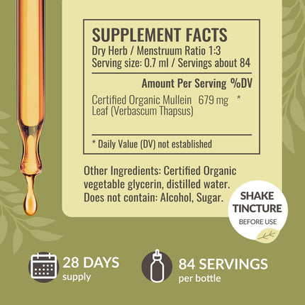 HERBAMAMA Mullein Drops for Lungs - Vegan Mullein Leaf Extract for Lung Detox and Cleanse Support - Non-GMO, Alcohol & Sugar-Free Respiratory Supplement, 28-Day Supply