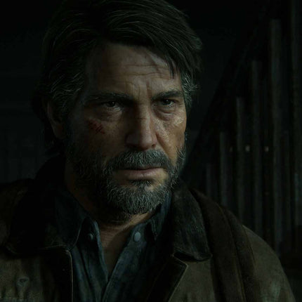 The Last of Us Part II (preowned)