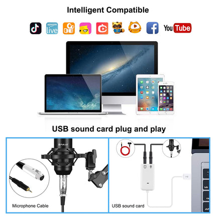 PULUZ Studio Broadcast Professional Singing Microphone Kits with Suspension Scissor Arm & Metal Shock Mount & USB Sound Card(Black)