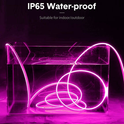 CJ-1206 12V 6A 5m IP65 Waterproof Silicone Neon LED Strip Light(Rose Red)