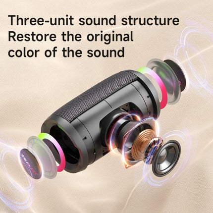 Zealot S61M RGB Rhythmic Light Karaoke Wireless Speaker, Style:Dual Mic(Black)