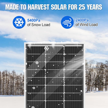ECO-WORTHY 200 Watt Bifacial Solar Panel 2pcs 100 Watt 12 Volt Monocrystalline Solar Panel Module Off Grid PV Powerfor Home, Camping, Boat, Shed Farm, RV