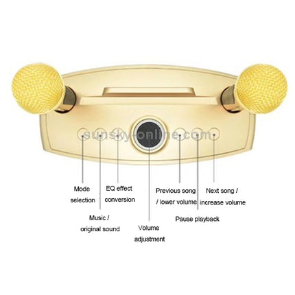 SD-306 2 in 1 Family KTV Portable Wireless Live Dual Microphone + Bluetooth Speaker(Black)