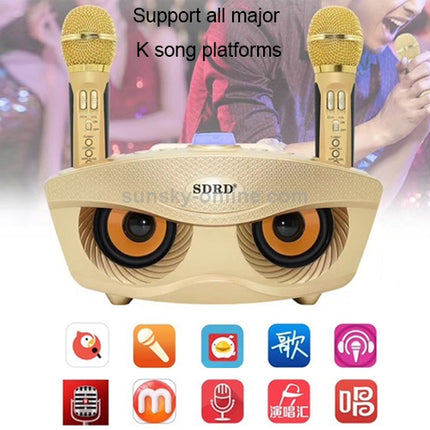 SD-306 2 in 1 Family KTV Portable Wireless Live Dual Microphone + Bluetooth Speaker(Black)