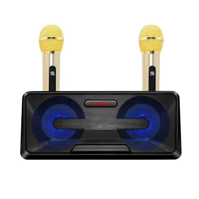 SDRD SD-301 2 in 1 Family KTV Portable Wireless Live Dual Microphone + Bluetooth Speaker(Black)