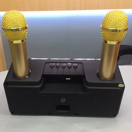 SDRD SD-301 2 in 1 Family KTV Portable Wireless Live Dual Microphone + Bluetooth Speaker(Black)