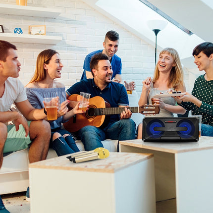 SDRD SD-301 2 in 1 Family KTV Portable Wireless Live Dual Microphone + Bluetooth Speaker(Black)